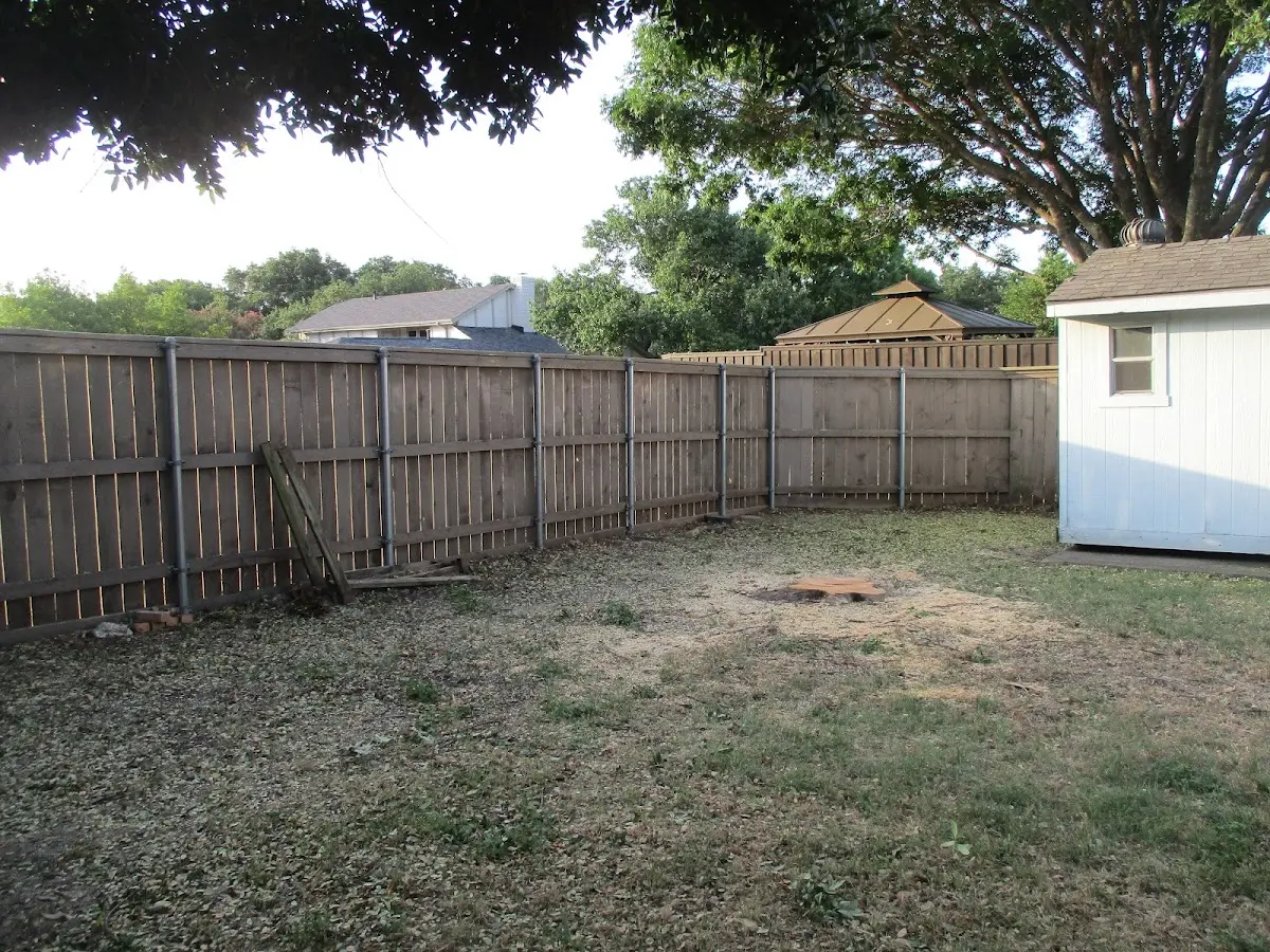 Cleared yard after professional tree removal in Willernie